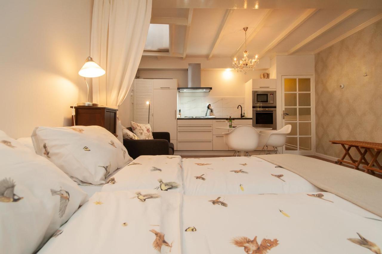 Casasdecasper - Studio Alkmaar Exteriör bild